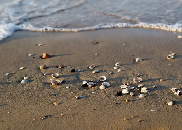 Bright Flat Close To Promenade * Bibione